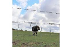 China 2.0MM High Tensile Wire Durable Cattle Fencing Weather Resistant supplier