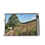 LTM10C313 10.4 inch 1024*768 TFT LCD Screen Display for sale