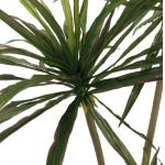Dracaena Marginata Artificial Landscape Trees For Home Office Decoration