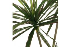 China Dracaena Marginata Artificial Landscape Trees For Home Office Decoration supplier