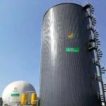 Anaerobic Digester Septic Tank Capacity Biogas Equipment for sale