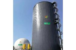 China Bio Digester Biogas Production Project Bio Gas Plant Installation supplier