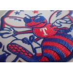 OEKO Washable Custom Embroidered Patches For Cap Bags for sale