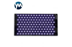 China UV LED Module 350W Imitation Lumen Lamp Beads high power uv led supplier