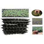 Seed Sprouting Plastic Germination Trays 144 Cell Nursery Plant for sale