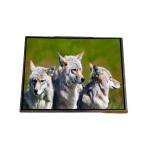 AA141XB00 14.1 inch 1024*768 TFT-LCD Screen Display For Mitsubishi for sale