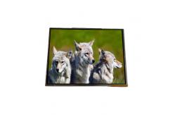 China AA141XB00 14.1 inch 1024*768 TFT-LCD Screen Display For Mitsubishi supplier