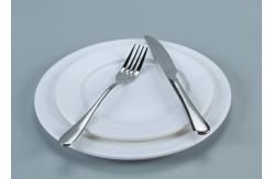 China Unbreakable Plain White Plastic Melamine Buffet Dinner Plates supplier