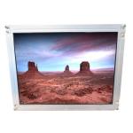 Analog RGB 31 pins Connector NL10276AC24-02 tft lcd module panel for sale