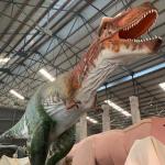Big Realistic Animatronic Dinosaur T Rex Dinosaur Statue And Playground for sale