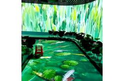 China 3d Immersive Projector Create Immersive Virtual Environments Immersive Projection supplier
