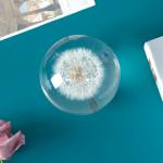Pressed Flower Paperweight Glass Paperweights With Flowers Inside for sale
