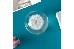 China Pressed Flower Paperweight Glass Paperweights With Flowers Inside supplier