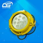 304 Stainless Steel Explosion Proof LED Flood Light 60W Die-cast Aluminium Alloy for sale