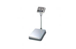 China Water Resistant Dual Interval Platform Weighing Scale supplier