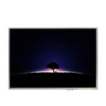 LTD121EDBP 12.1 inch 1024*768 LCD Screen Display for sale