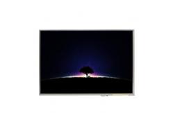 China LTD121EDBP 12.1 inch 1024*768 LCD Screen Display supplier