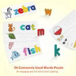 Educational Preschool Flash Cards Printing Kids Memory Flash Cards OEM ODM for sale