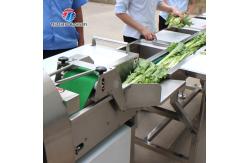 China Automatic Vegetable And Fruit Production Line Selection Cutting And Washing Machine supplier
