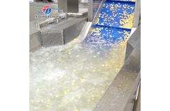 China Streamline Your Manufacturing Process with Our Advanced Fruit And Vegetable Processing Line supplier