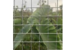 China 1 Inch Hot Dipped Galvanised Welded Mesh Animal Protection Fence supplier