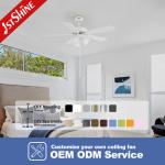 Lighting Solutions Service Lighting and Circuitry Design for 1stshine Ceiling Fan Light