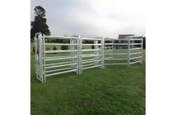 China Galvanized Welded Pipe Cattle Fence Panel 8FT Horse Farm Fencing Panels supplier