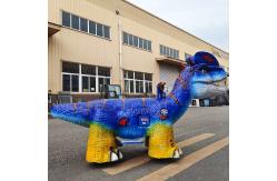 China Customized Animatronic Dinosaur Ride for Shopping Mall and Playground supplier