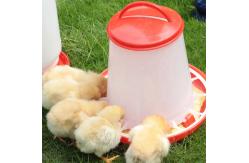 China Poultry Drinking Chicken Feeding Line 1kg-20kg Broiler Automatic Feeder supplier