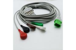 China DB12pin Datascope ECG Cables And Leadwires 5leads ISO13485 supplier