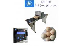 China Maintenance - Free Egg Automatic Batch Coding Machine For Logo / Pattern supplier