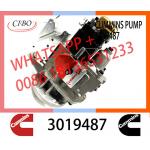 Genuine Diesel Fuel Injection Pump 2048809 3019487 3059657 For Cummins NT855