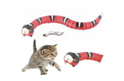 China Rubber Interactive Red Cat Pet Teething Chew Funny Toys For Puppies supplier