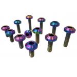 Dished Head Plum Bolt Titanium bolts M24 Titanium Bike Screws