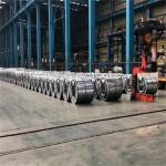 DC53D Galvanized Steel Coil JIS Husbandry Gi Sheet Coil Flat Surface for sale