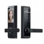 Qleung S810max Smart Home Lock with Card Code Key Fingerprint Palm Password Multi-unlock Ways for sale
