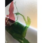 Privacy protect window film pvc frosted sticker for glass decoration for sale