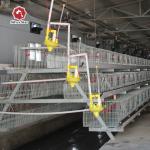 120 Chickens / Set Battery Baby Chick Cage Broiler Chicken Farming Materials for sale