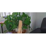 Cast Acrylic Plexiglass Plastic Sheets 1220x2440mm Weathering Resistance for sale