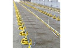 China Chicken Drinking Automatic Pan Feeding System For Poultry Farming Equipment Machine supplier