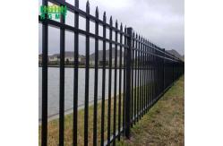 China High Class Modern Ornamental Wrought Iron Gate And Fence supplier