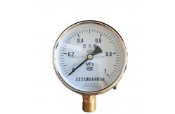 China Pressure Gauge Customized Support and OEM Service with Die Cast Aluminum Case supplier