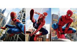 China TRUMP Designs Printing Customized 3D PET Lenticular Poster 3D Lenticular Printing supplier