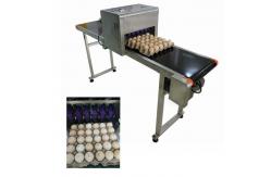 China Industrial Software Operation Egg Printing Machine , HD Inkjet Printer For Eggs supplier