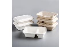 China Eco Friendly Compostable Sugarcane Pulp Disposable Take Out Containers supplier
