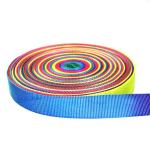 Blue 3cm Polyester Polypropylene Webbing For Dog Collars High Strength