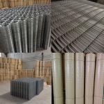 Raising Animals 1X1/2 Inch 16 Gauge Galvanized Welded Fencing Wire Mesh Roll for sale