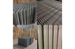 China Raising Animals 1X1/2 Inch 16 Gauge Galvanized Welded Fencing Wire Mesh Roll supplier