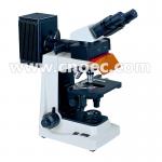 Achromatic Epi - Fluorescence Microscope Binocular A16.1024 for sale