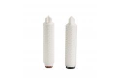 China 10 Pleated Polypropylene Containment System With 30um Micron Rating supplier